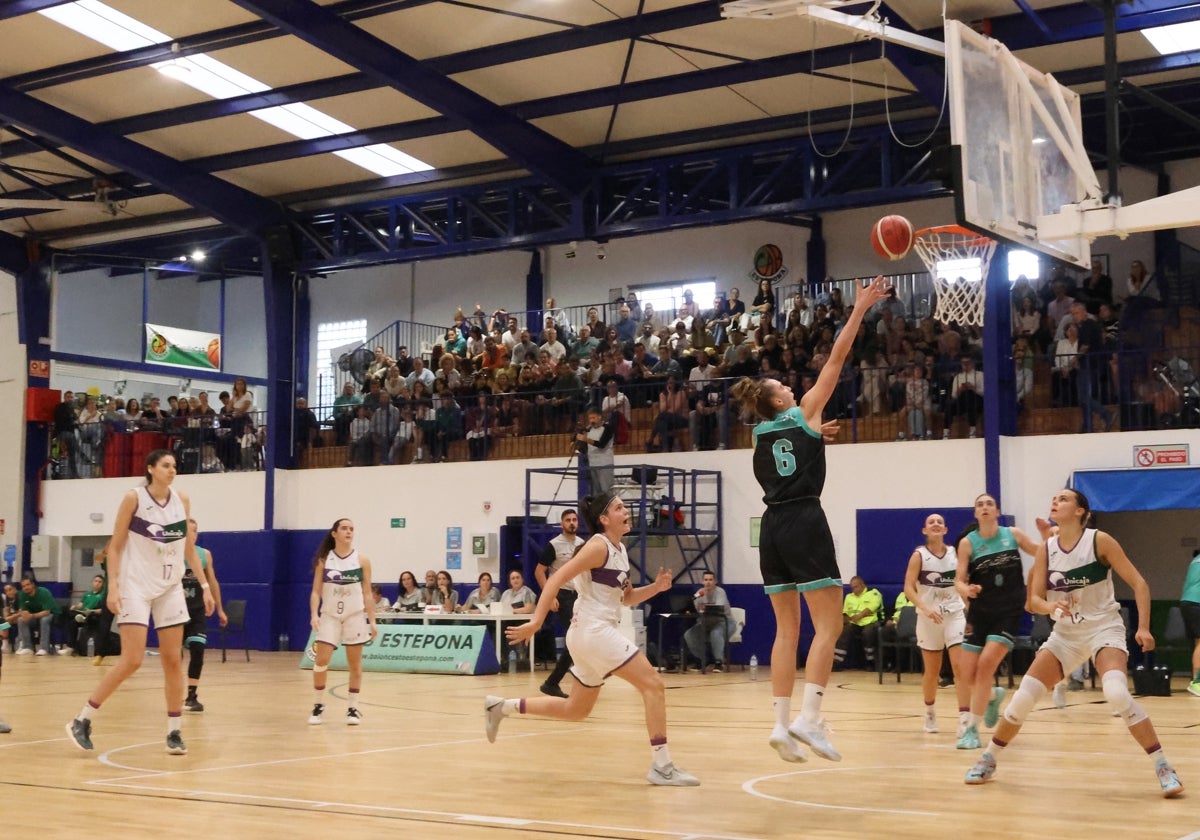 Estepona Pujar Por Acoger La Final Four De Ascenso A La Lite